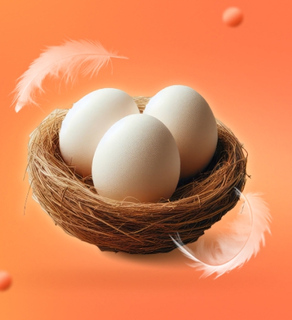 تخم مرغ