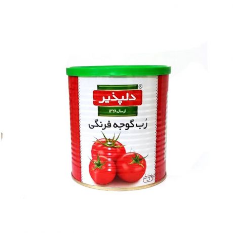 رب گوجه فرنگی دلپذیر 400 گرمی