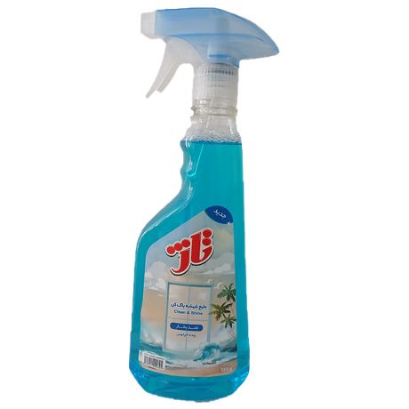 مایع شیشه پاک کن ضد بخار تاژ 500 گرمی