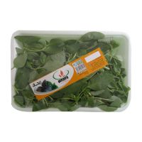 ریحان تازه سبز آرنگ 100 گرمی