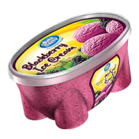 بستنی شاتوت دایتی 600 گرم