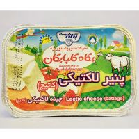 پنیر لاکتیکی کاتیج پگاه 300 گرم