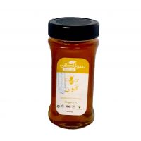 عسل ارگانیک گون سولاکان 685 گرم 