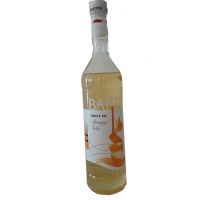 سیروپ BARTINI TRIPLE SEC بارتینی 900 گرمی