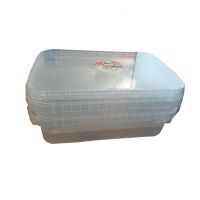 ظرف فریزری 2 عددی تیروژ 2000 سی سی